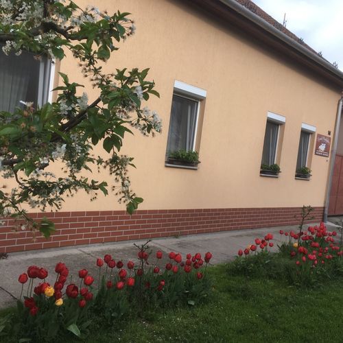 Apartament la parter a cu 1 camera pentru 4 pers. (se poate solicita pat suplimentar)