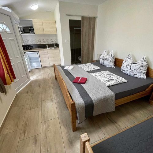 Apartament studio cu bucătărie proprie pentru 3 pers. (se inchirieaza doar integral)