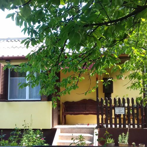 Casă de vară întreaga unitate cu grădină pentru 2 pers. (se inchirieaza doar integral)