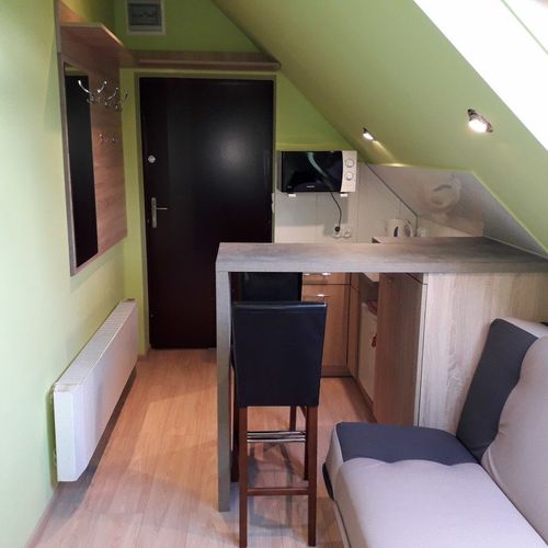 Apartament 2-osobowy Studio z widokiem na góry z 1 pomieszczeniem sypialnianym
