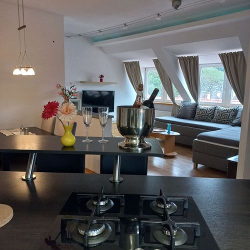 Business Plus Gold Apartman (jako celek) pro 5 os.