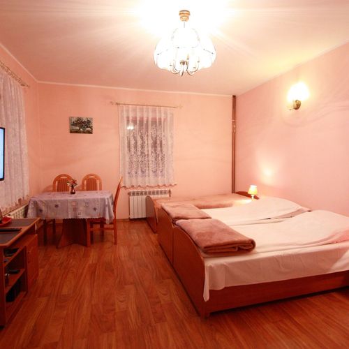 Camera tripla cu vedere spre munte cu panoramă (se poate solicita pat suplimentar)