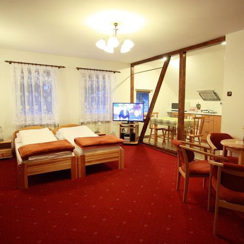 Apartament cu vedere spre pădure cu vedere spre munte cu 2 camere pentru 4 pers. (se poate solicita pat suplimentar)