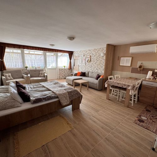 Apartament superior accesibil(ă) persoanelor cu dizabilități cu 1 camera pentru 4 pers. (se poate solicita pat suplimentar)