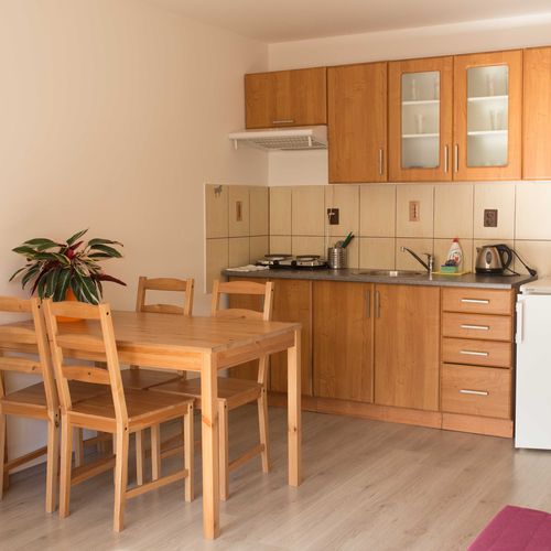 Apartament 2-osobowy z prysznicem z aneksem kuchennym (możliwa dostawka)
