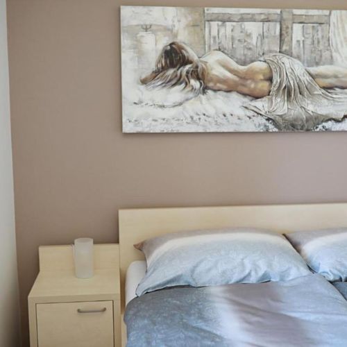 Apartament cu duș cu chicinetă proprie cu 1 camera pentru 2 pers. (se poate solicita pat suplimentar)