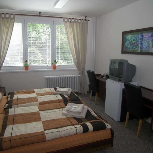Standard Plus Pokoj se sprchou s manželskou postelí