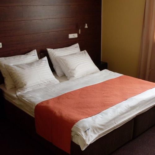 Deluxe Pokoj se sprchou s manželskou postelí