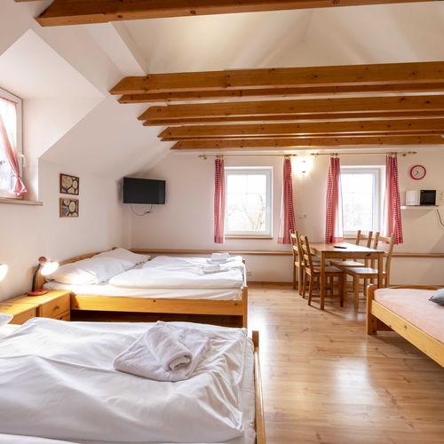 Apartman se sprchou s vlastní kuchyňkou pro 4 os. s 1 ložnicí (s možností přistýlky)
