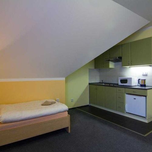 Apartament cu duș cu chicinetă proprie cu 1 camera pentru 3 pers. (se poate solicita pat suplimentar)