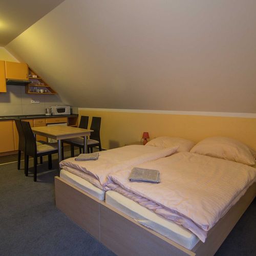 Apartament cu duș cu chicinetă proprie cu 2 camere pentru 4 pers. (se poate solicita pat suplimentar)