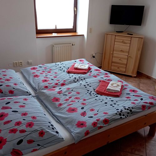 Apartament cu duș cu chicinetă proprie cu 1 camera pentru 2 pers. (se poate solicita pat suplimentar)