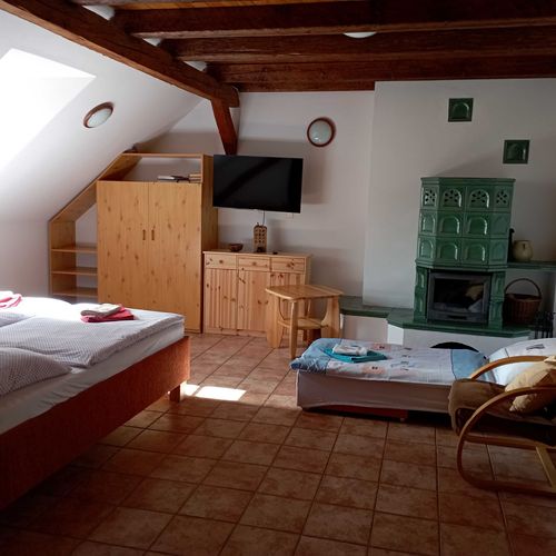 Apartament cu duș cu chicinetă proprie cu 1 camera pentru 2 pers. (se poate solicita pat suplimentar)