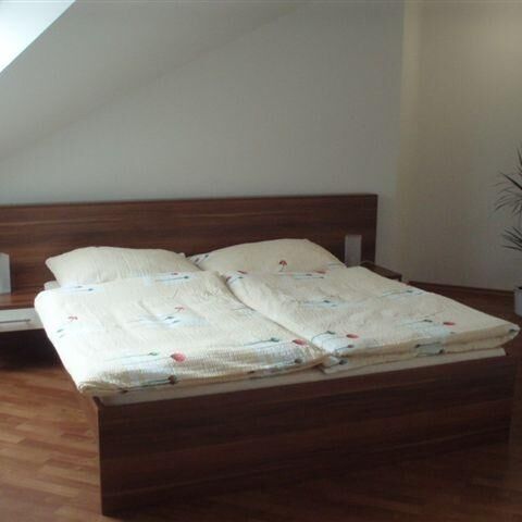 Apartament cu duș cu chicinetă proprie cu 1 camera pentru 3 pers. (se poate solicita pat suplimentar)