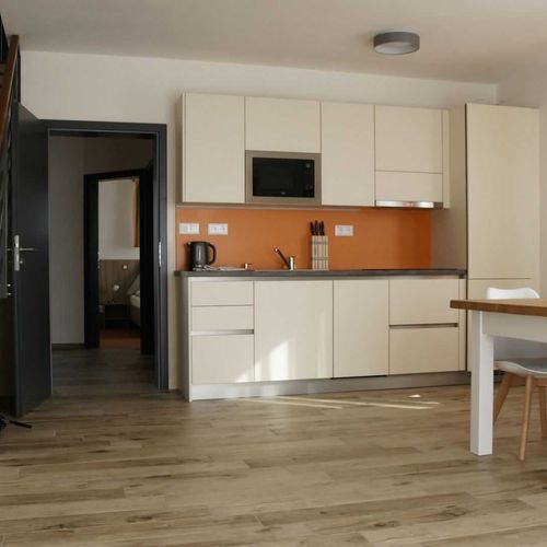 Apartament cu duș cu chicinetă proprie pentru 6 pers. (se poate solicita pat suplimentar)