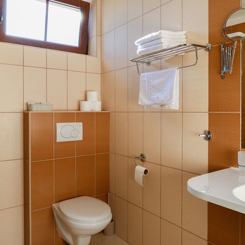 Camera tripla cu duș (se poate solicita pat suplimentar)