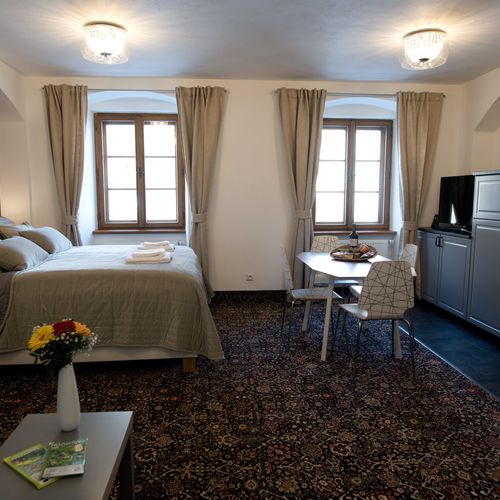 Apartman se sprchou s manželskou postelí s 1 ložnicí s výhledem na město (s možností přistýlky)