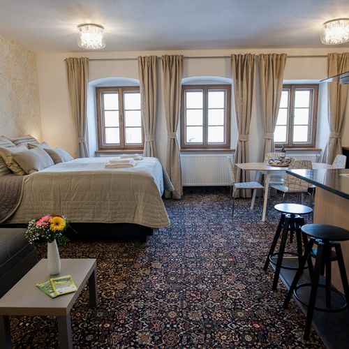 Apartman se sprchou s manželskou postelí s 1 ložnicí s výhledem na město (s možností přistýlky)