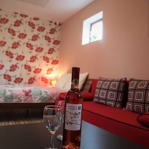 Apartament 2-osobowy Studio z prysznicem (możliwa dostawka)