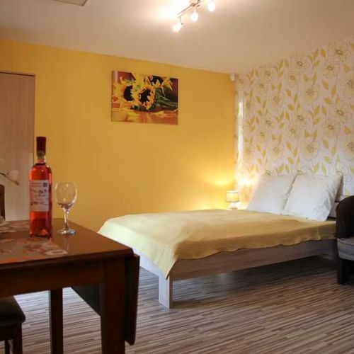Apartament 2-osobowy Studio z prysznicem