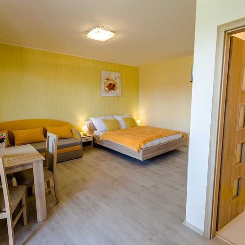 Apartament 2-osobowy Studio z prysznicem (możliwa dostawka)