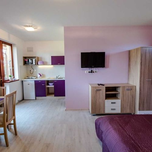 Apartament 2-osobowy z prysznicem z aneksem kuchennym (możliwa dostawka)