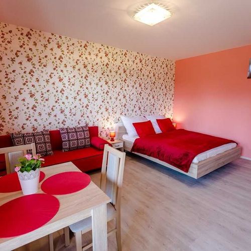 Apartament 2-osobowy Studio z prysznicem (możliwa dostawka)