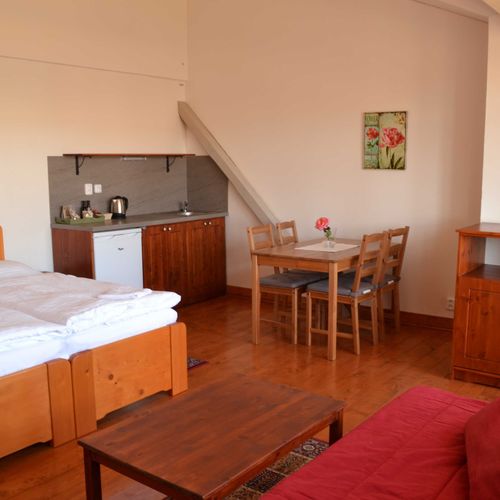 Apartament cu 1 camera pentru 2 pers. (se poate solicita pat suplimentar)