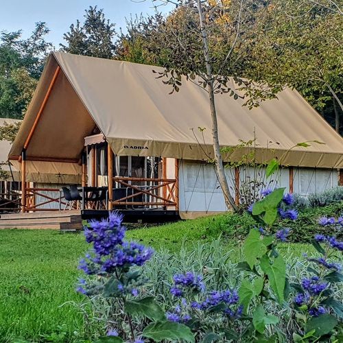 Willa 6-osobowy z widokiem na las z panoramą