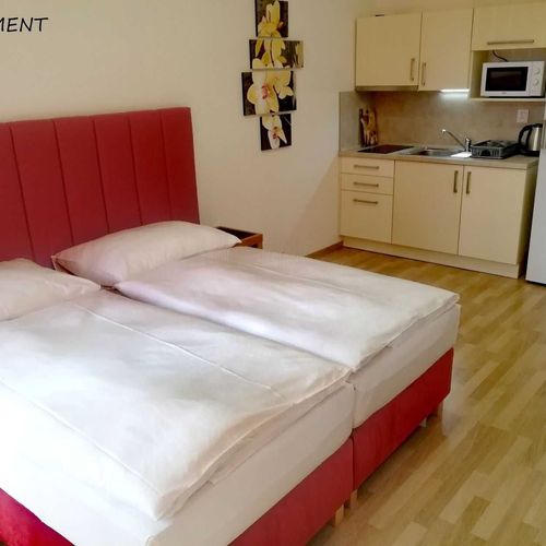 Apartament cu duș cu chicinetă proprie cu 1 camera pentru 2 pers.