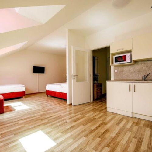 Apartament cu duș cu chicinetă proprie cu 1 camera pentru 4 pers.