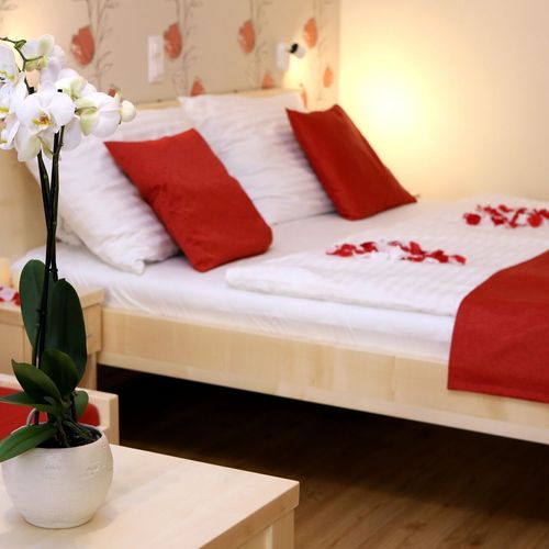 Apartament studio superior cu 1 camera pentru 2 pers. (se poate solicita pat suplimentar)