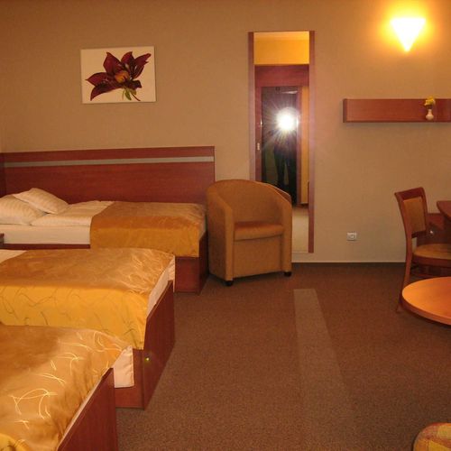 Pokój 3-osobowy z prysznicem z balkonem (możliwa dostawka)