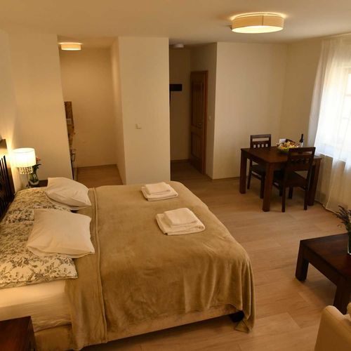 Studio Apartman se sprchou s manželskou postelí s 1 ložnicí