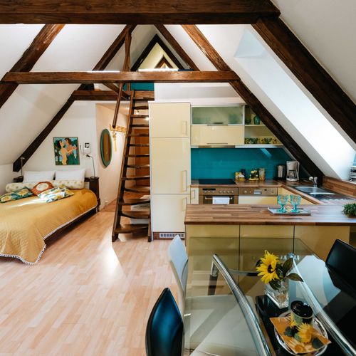 Apartament cu duș cu chicinetă proprie cu 1 camera pentru 4 pers. (se poate solicita pat suplimentar)