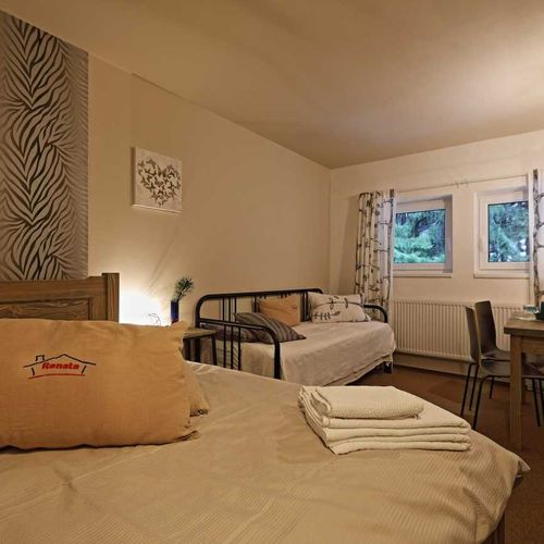 Pokoj se sprchou s manželskou postelí s výhledem na les (s možností přistýlky)