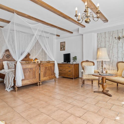 Camera dubla deluxe cu vedere spre grădină (se poate solicita pat suplimentar)