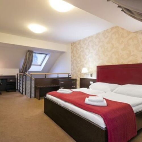 Apartament cu 1 camera pentru 2 pers.