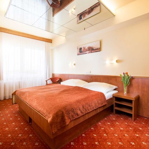 Apartament standard cu duș cu 2 camere pentru 3 pers.