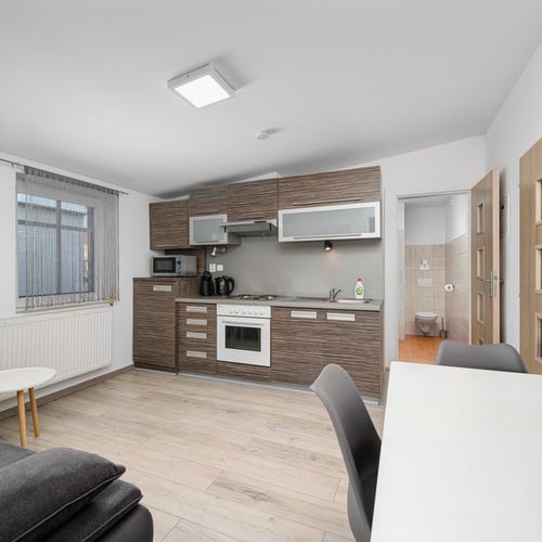 Apartman s manželskou postelí s 1 ložnicí (s možností přistýlky)
