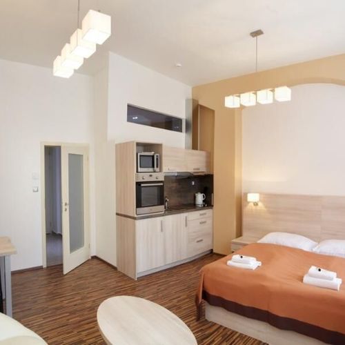 Apartament 2-osobowy Studio z 1 pomieszczeniem sypialnianym