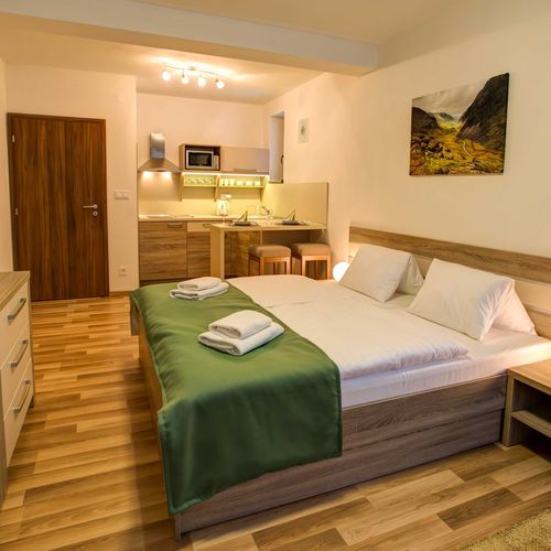 Pokój 2-osobowy Standard z prysznicem (możliwa dostawka)