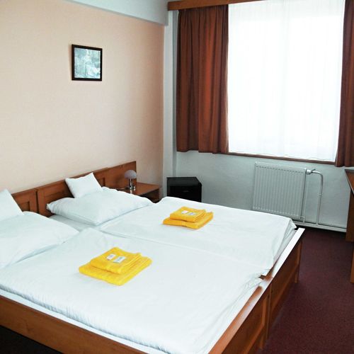 Standard Pokoj se sprchou s manželskou postelí