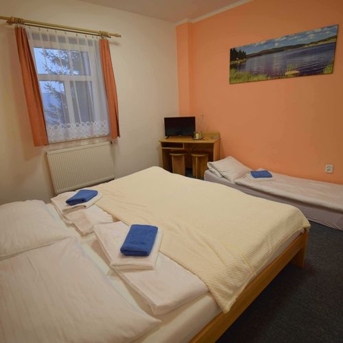 Standard Hotel Pokoj pro 2 os. (s možností přistýlky)