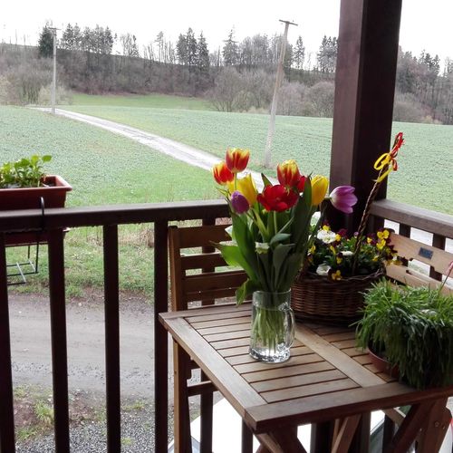 Apartament 4-osobowy z prysznicem z aneksem kuchennym