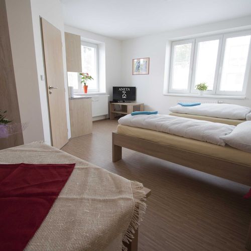 Apartament cu duș cu chicinetă proprie cu 2 camere pentru 3 pers.