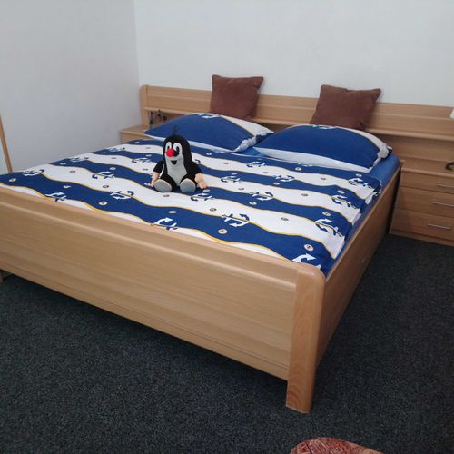 Pokoj se sprchou s vlastní kuchyňkou pro 3 os. (s možností přistýlky)