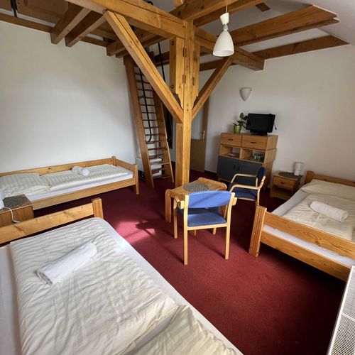 Apartament 3-osobowy z prysznicem (możliwa dostawka)