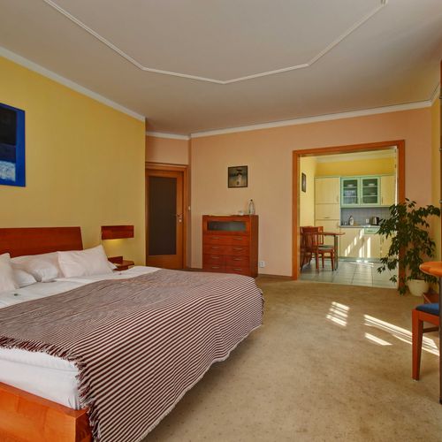 Studio Apartman s manželskou postelí s 1 ložnicí