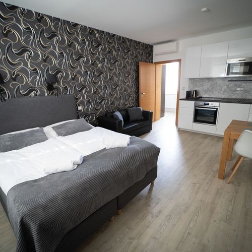 Apartament cu duș cu chicinetă proprie cu 1 camera pentru 2 pers. (se poate solicita pat suplimentar)